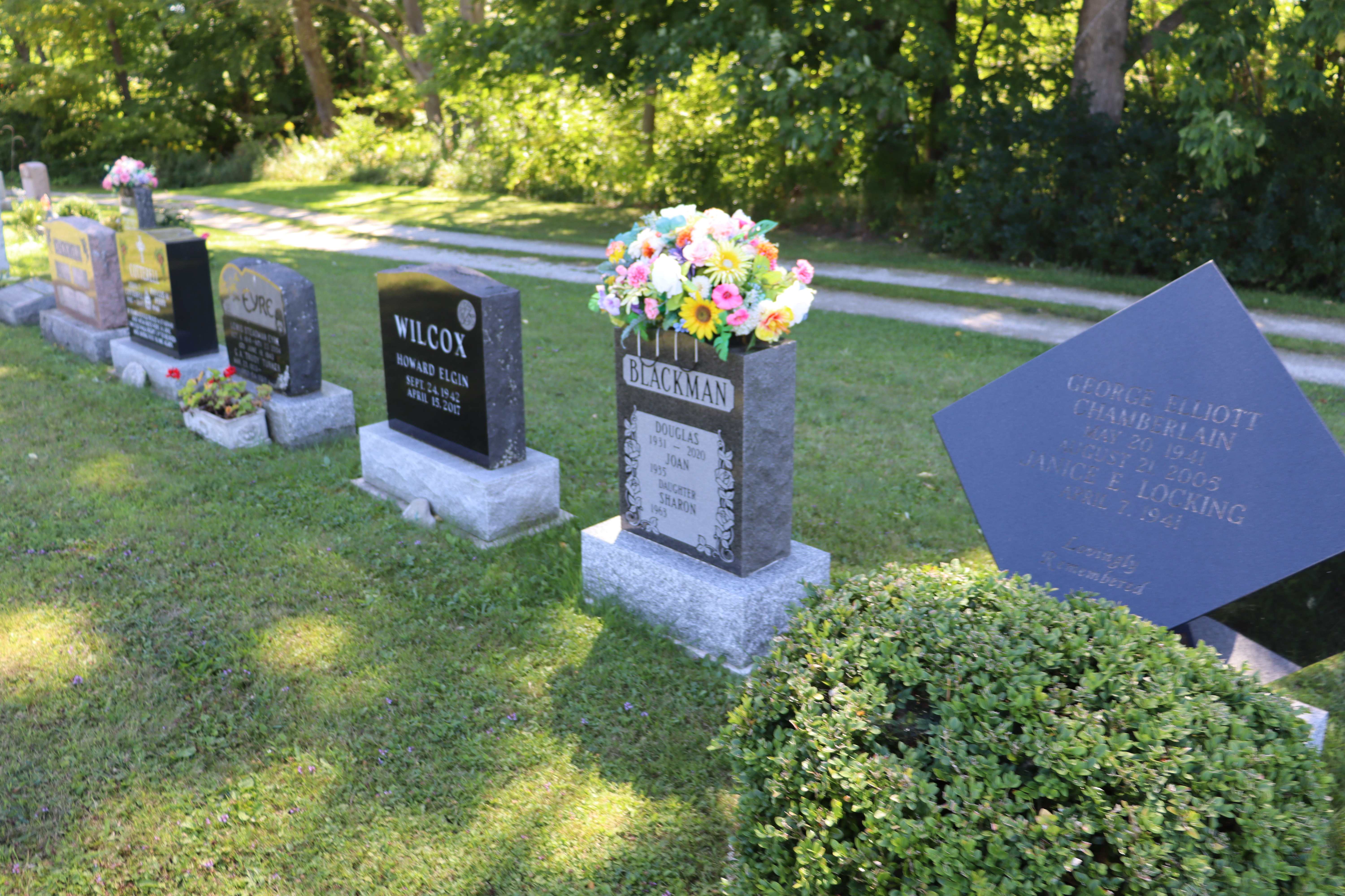 Gravestones in a sunny, serene cemetery