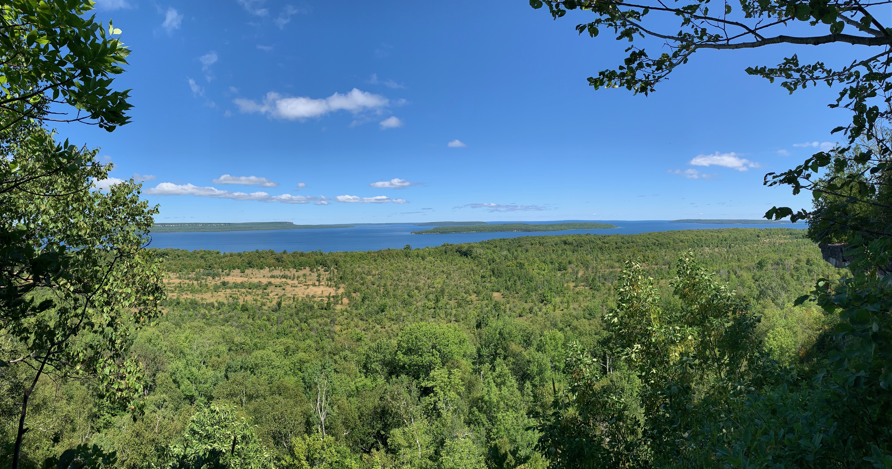 a view of trees and teh bay in the background